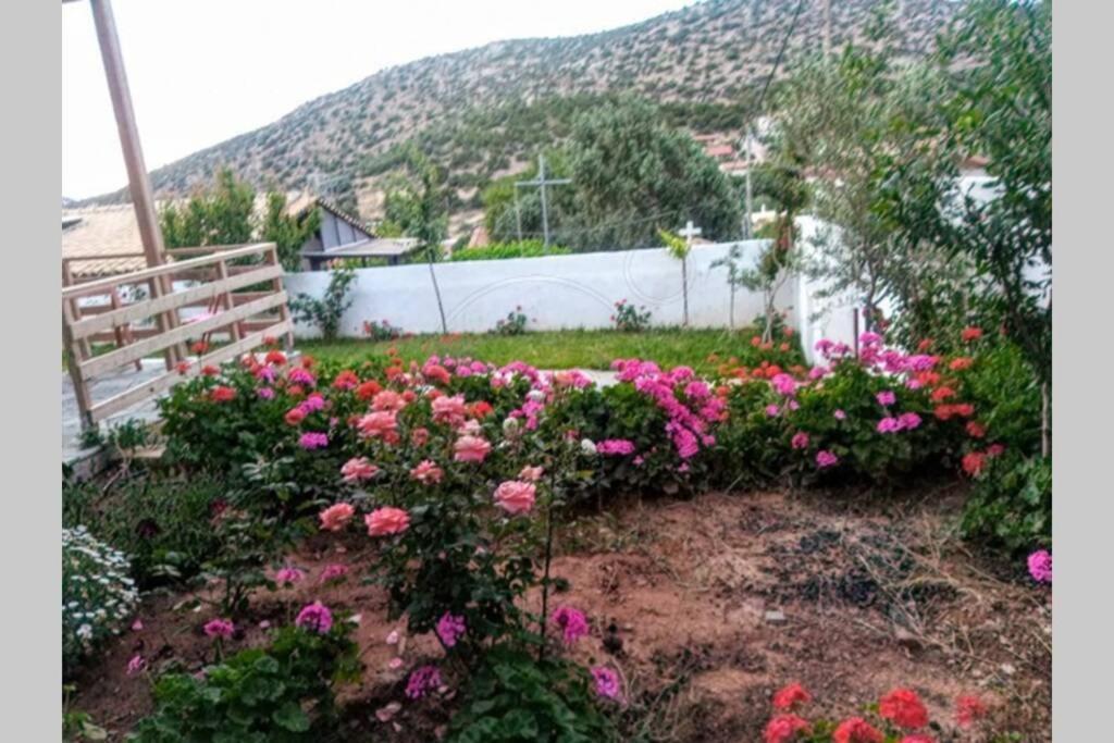 Lagonisi Magic Home Relaxation Kalivia Thorikou Exterior photo