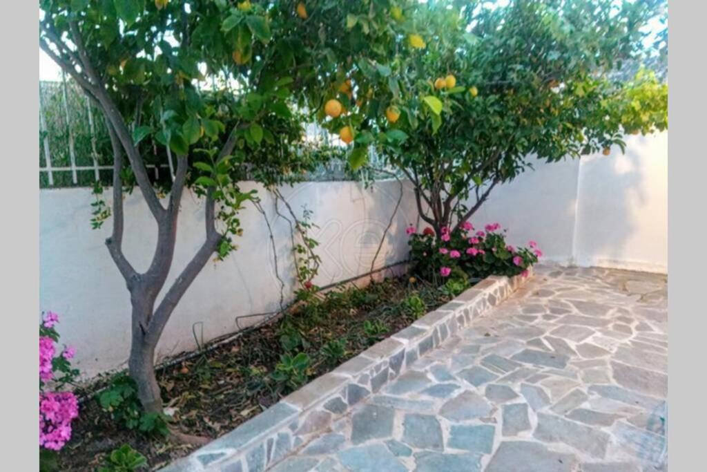 Lagonisi Magic Home Relaxation Kalivia Thorikou Exterior photo